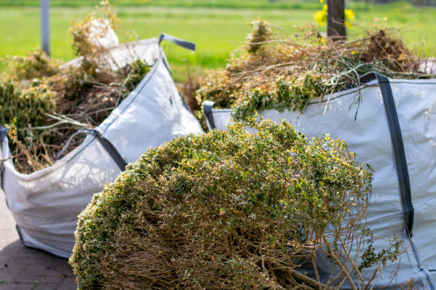Best Basement Cleanout Services  in Okemos, MI